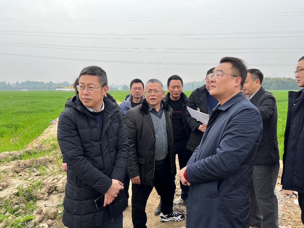 省社、省供投集團領(lǐng)導調(diào)研青白江區(qū)四川現(xiàn)代供銷種業(yè)園區(qū)