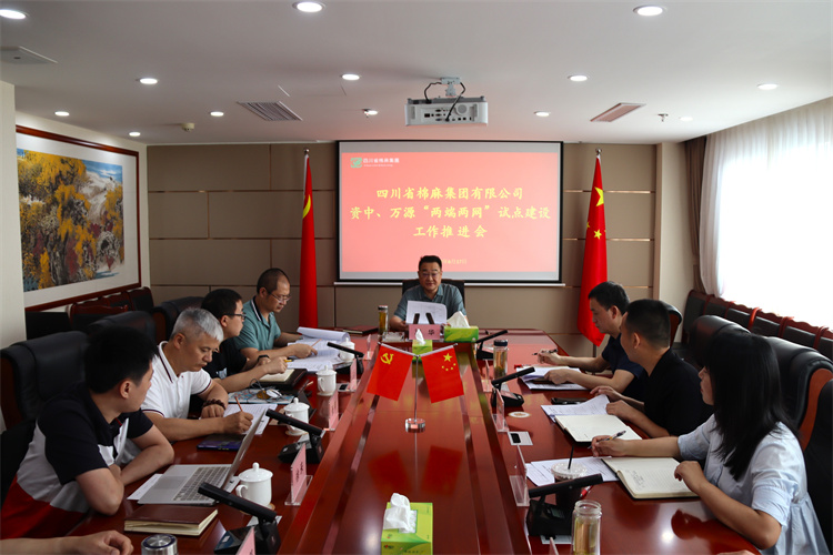 鄧華主持召開資中、萬源“兩端兩網(wǎng)”試點建設(shè)工作推進會