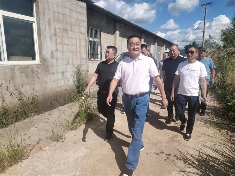 鄧華帶隊調研萬源舊院黑雞產(chǎn)業(yè)基地建設情況