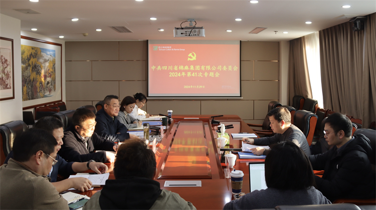 集團(tuán)公司召開(kāi)2024年第41次專(zhuān)題黨委會(huì)