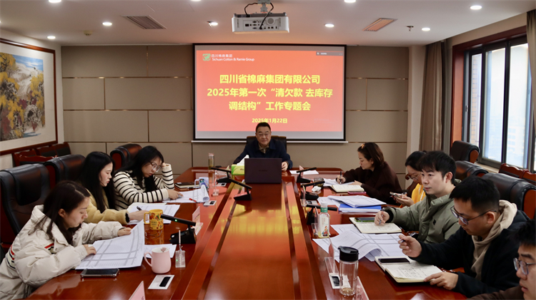 集團(tuán)公司召開2025年第一次“清欠款、去庫存、調(diào)結(jié)構(gòu)”工作專題會(huì)